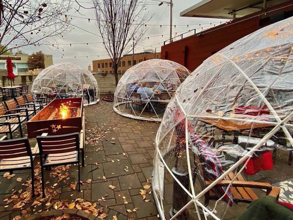 Garden Igloo Frame - Image 4
