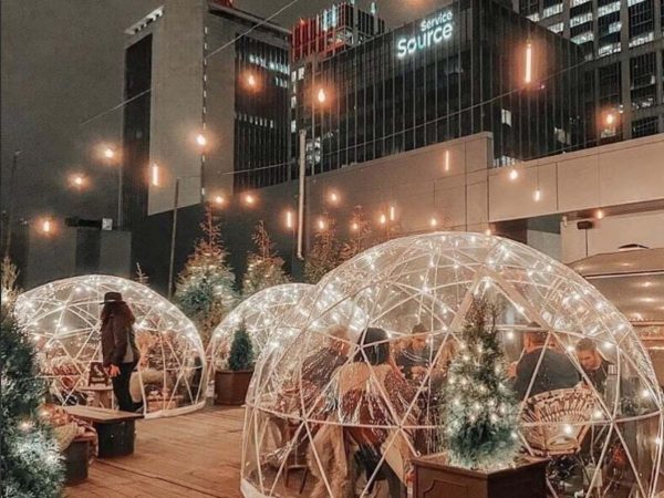 Garden Igloo Frame - Image 3